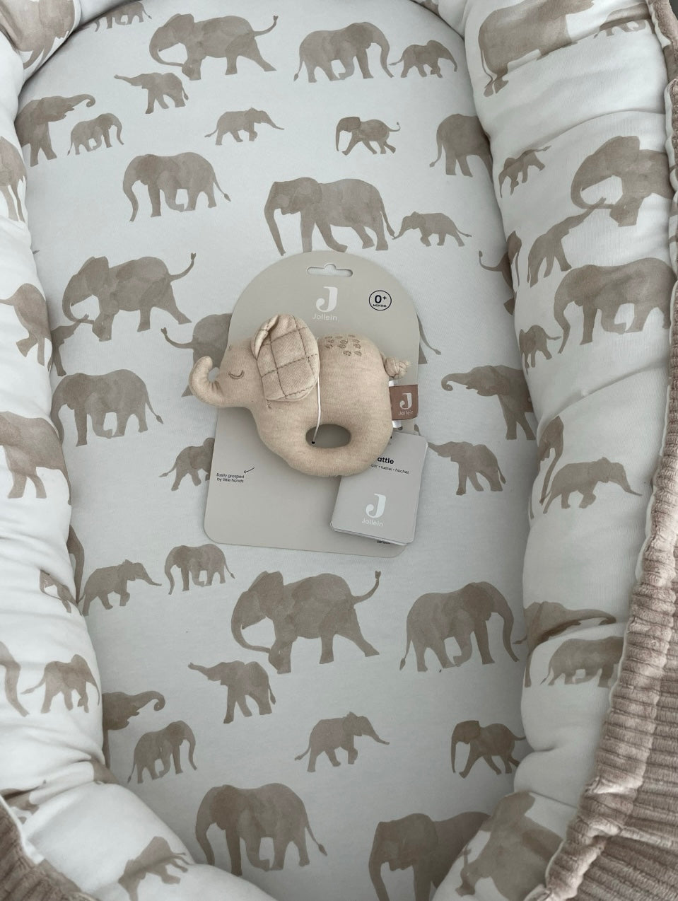 Babynestje olifant