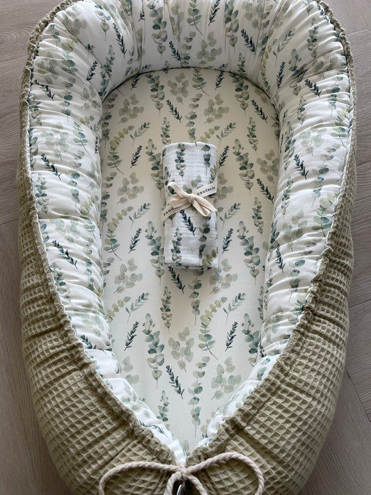 Babynestje eucalyptus olijf
